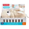 Fisher-Price Kuscheltier »Schlummer-Otter« - B-Ware sehr gut