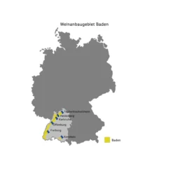 Junge Winzer Grauburgunder Baden QbA trocken, Weißwein 2020