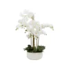 Pureday Kunstpflanze »Orchideentopf«, mit prächtigen Blüten - B-Ware sehr gut
