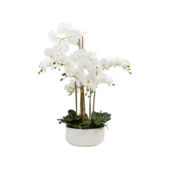 Pureday Kunstpflanze »Orchideentopf«, mit prächtigen Blüten - B-Ware sehr gut