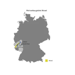 Saar Riesling Hochgewächs QbA trocken, Weißwein 2019