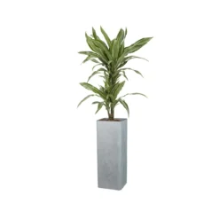 Scheurich Hochgefäß »Cube High«, Kunststoff, quadratisch, L 26 x B 26 x H 70 cm (Stony Grey, Höhe 70 cm) - B-Ware sehr gut